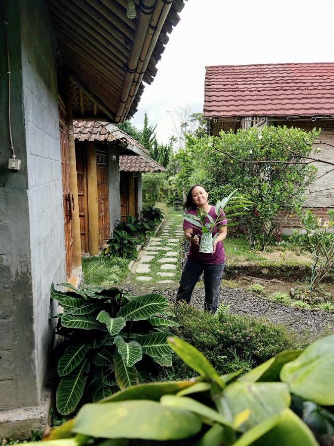 Bamboo Sendangsari Homestay Wonosobo